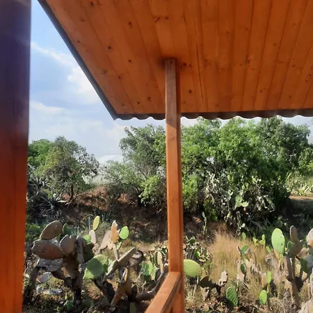 Glamping Entre Nopales, Villa De Leyva Sachica Exterior photo