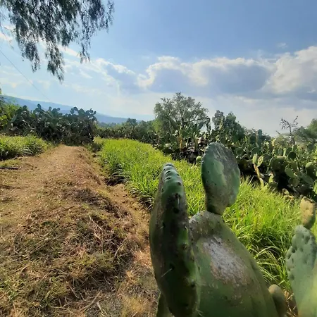 Glamping Entre Nopales, Villa De Leyva Sachica Exterior photo