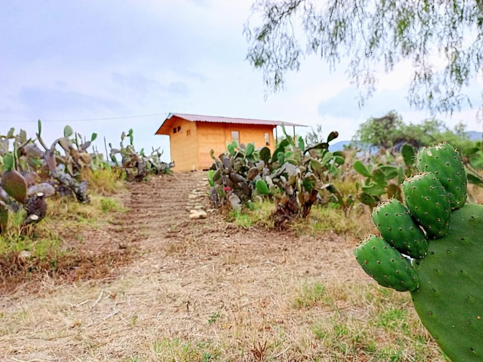 Glamping Entre Nopales, De Leyva *