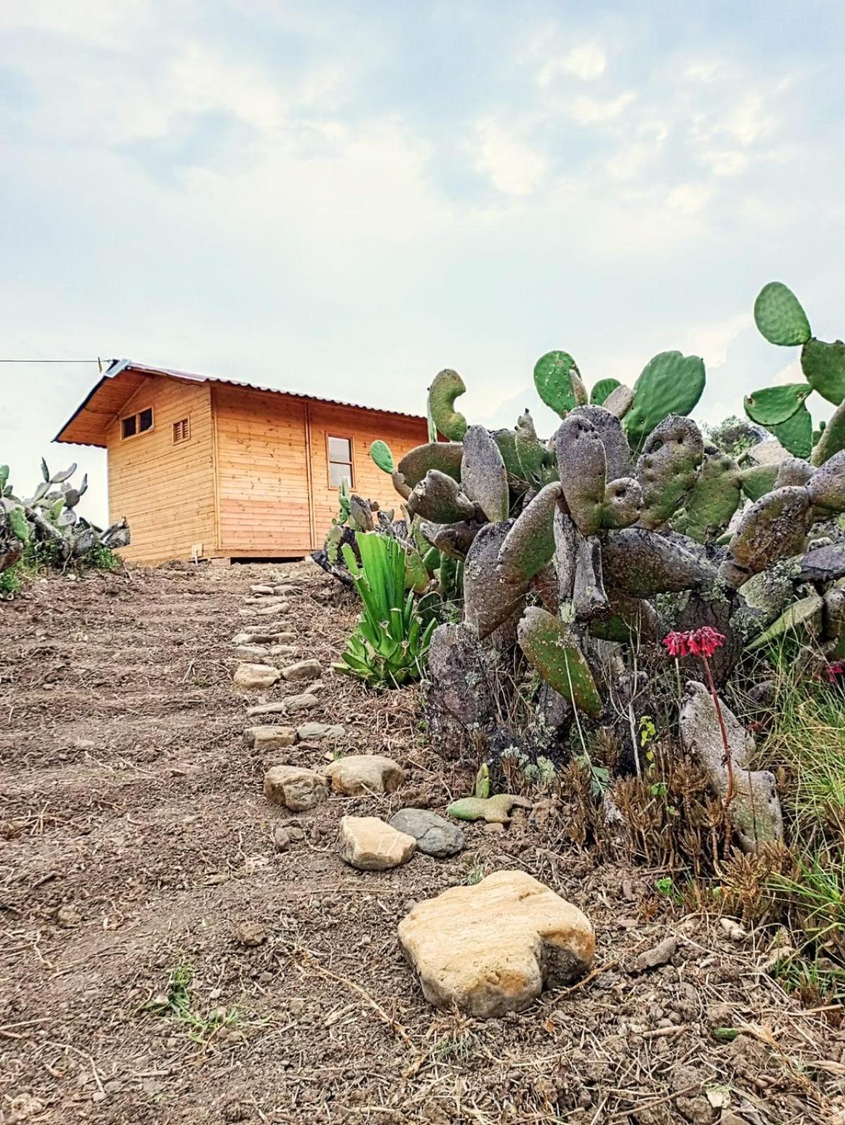 Campsite Glamping Entre Nopales, De Leyva Sachica