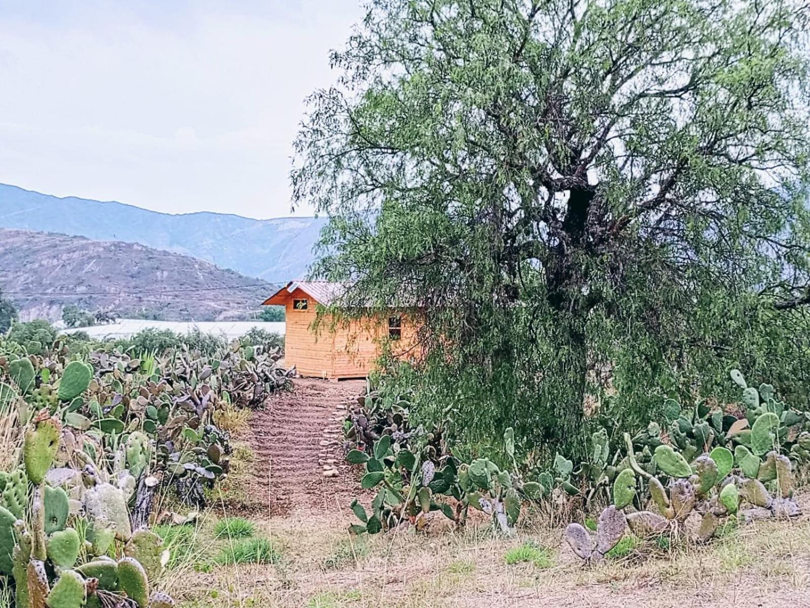 Campsite Glamping Entre Nopales, De Leyva