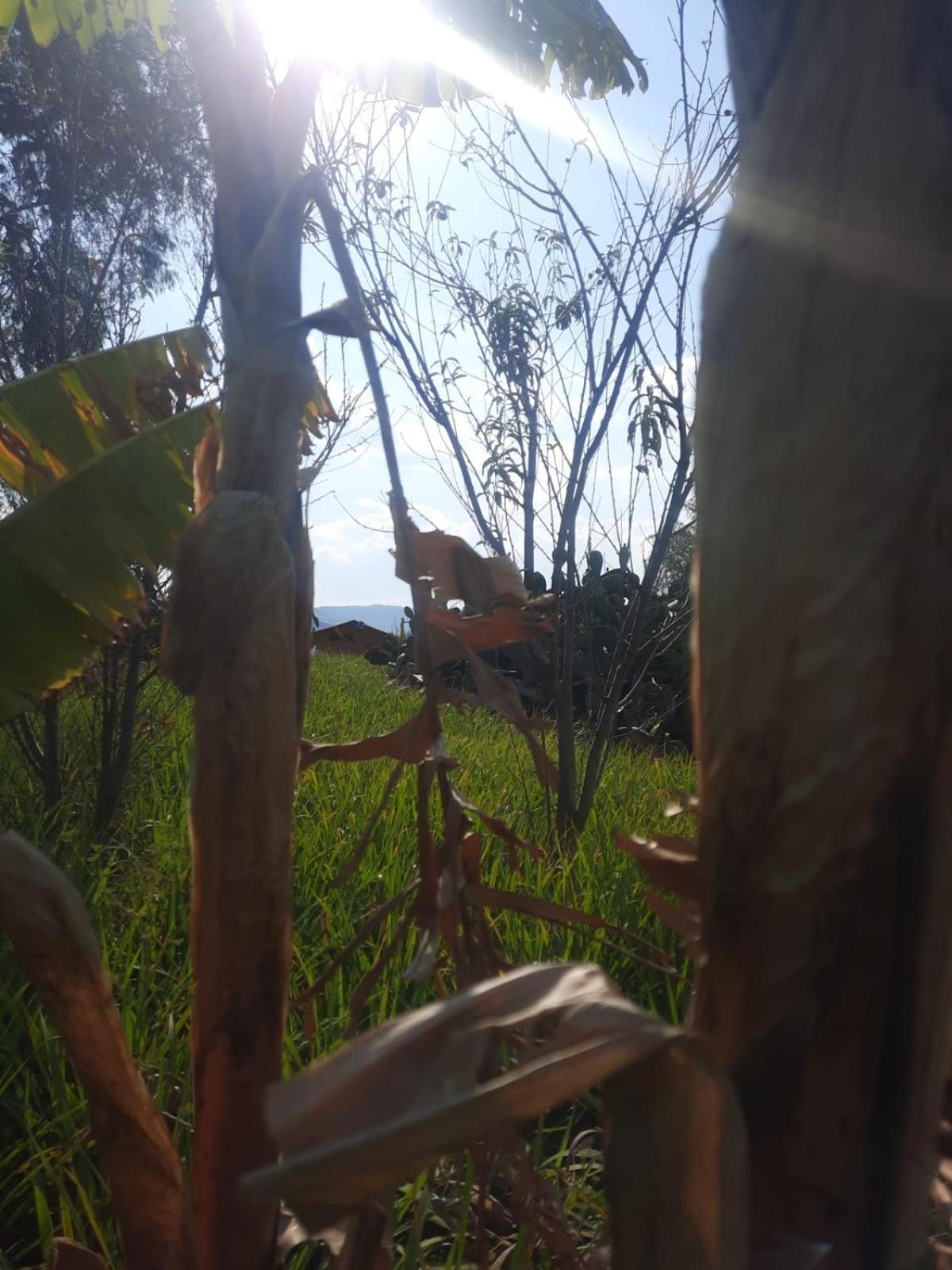 Campsite Glamping Entre Nopales, De Leyva Sachica