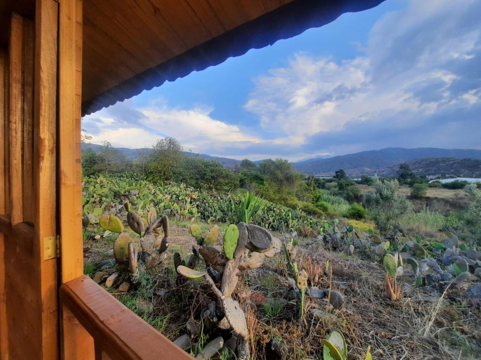 Campsite Glamping Entre Nopales, De Leyva Sachica