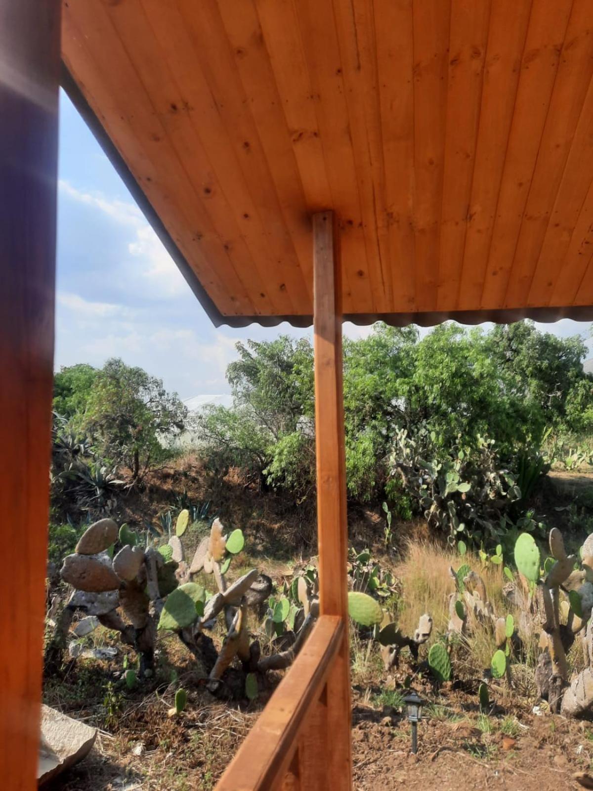 Glamping Entre Nopales, De Leyva