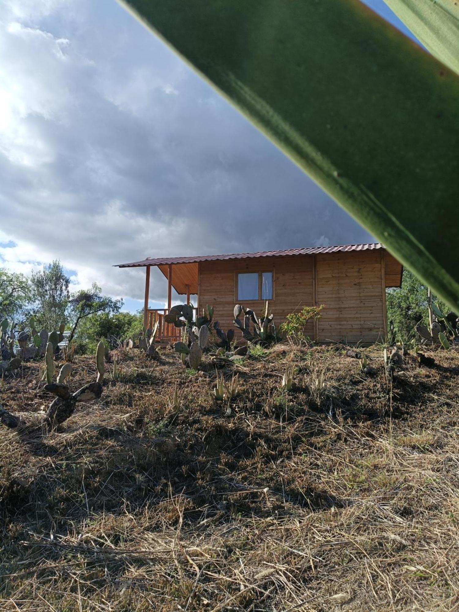 Glamping Entre Nopales, De Leyva