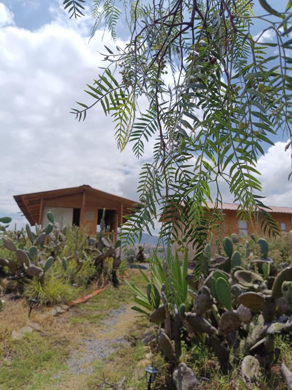Glamping Entre Nopales, De Leyva *