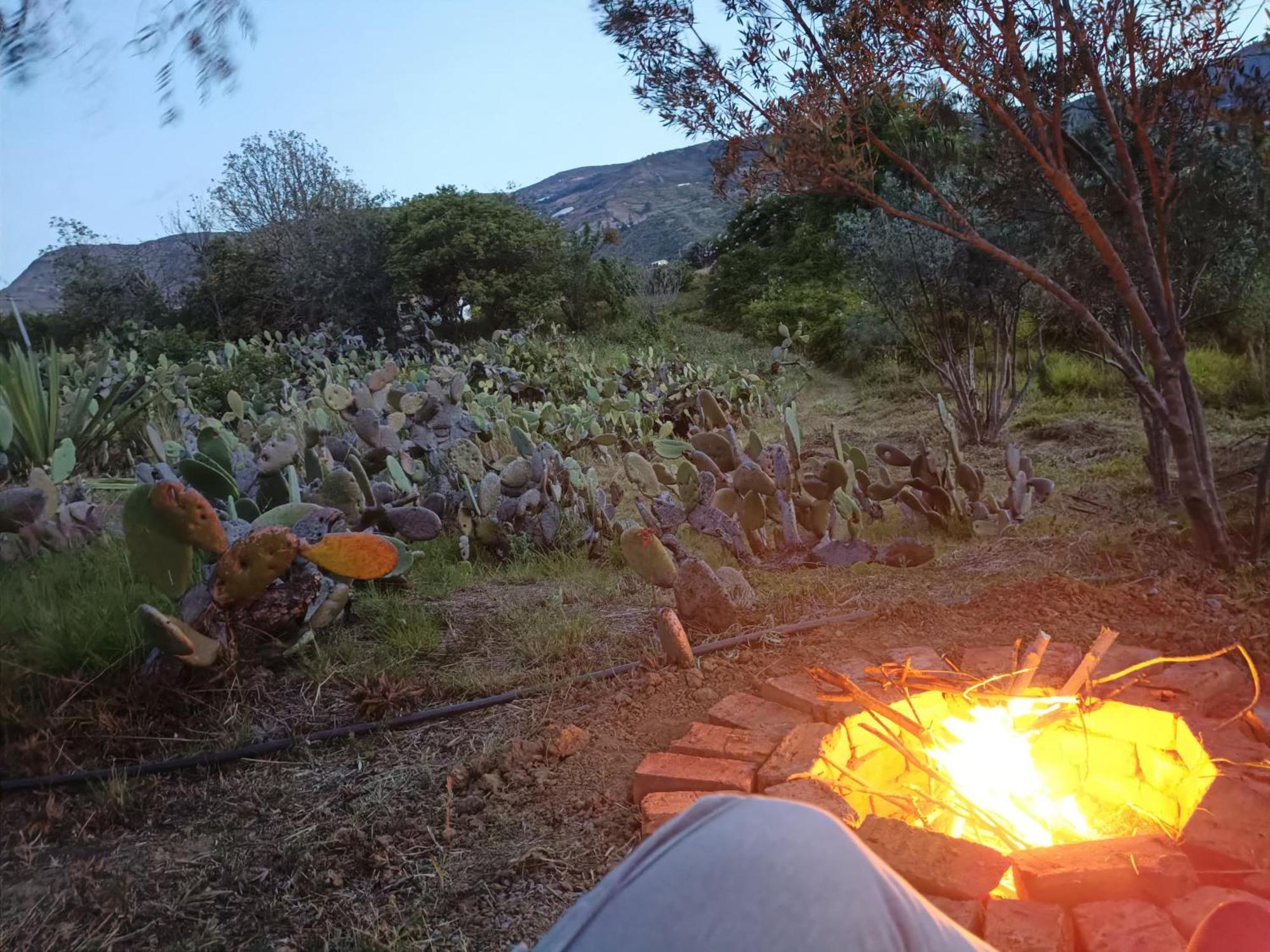 Glamping Entre Nopales, De Leyva * Sachica