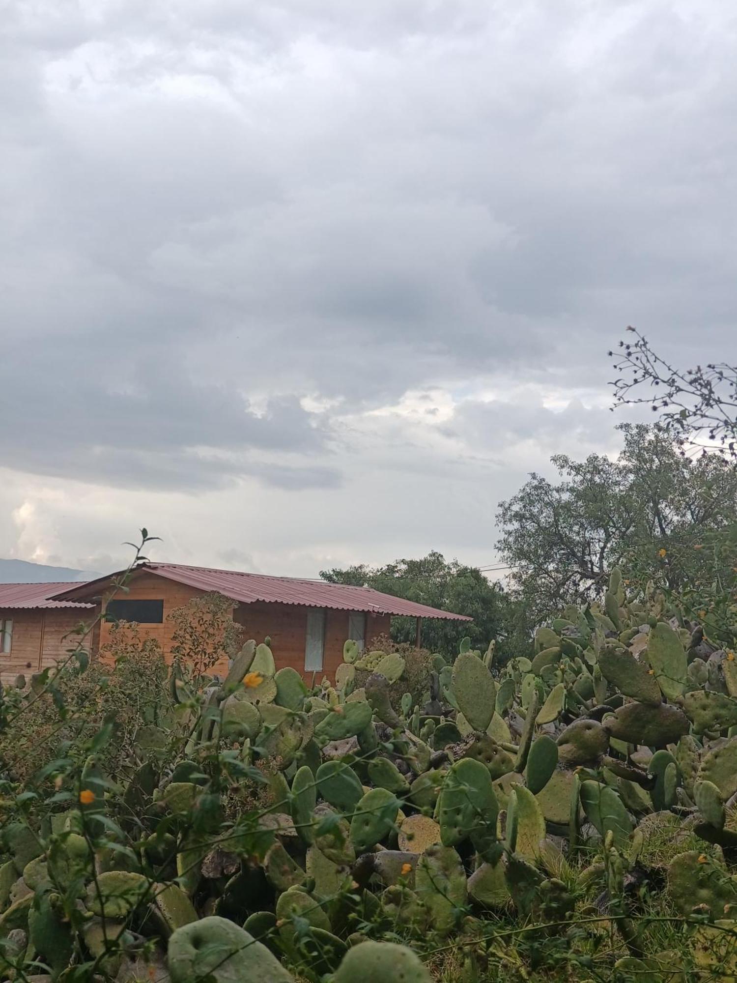 Campsite Glamping Entre Nopales, De Leyva