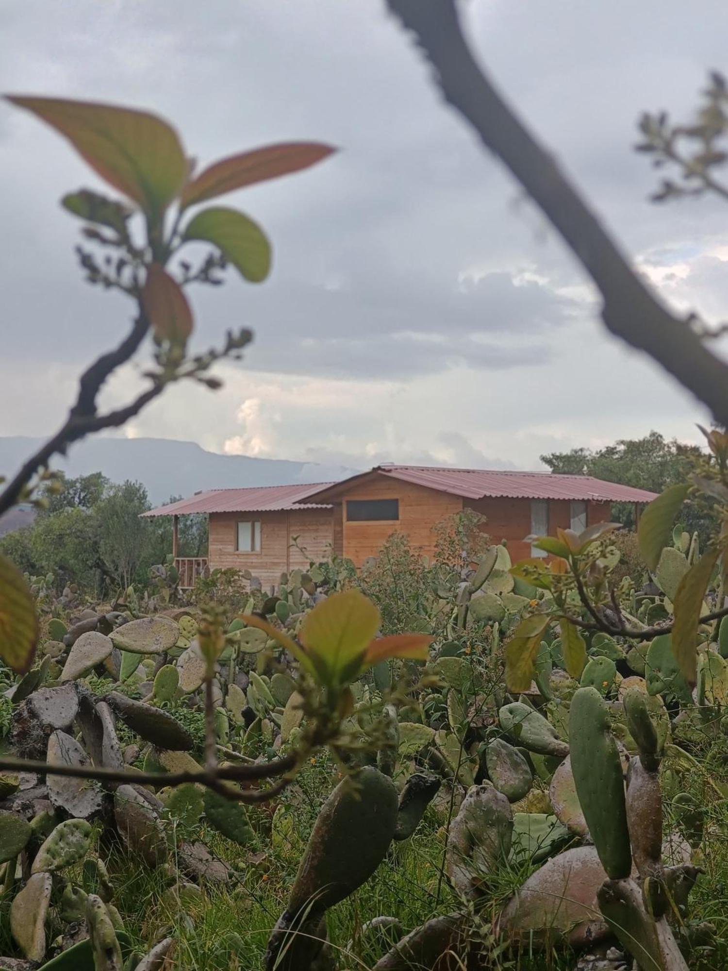 Glamping Entre Nopales, De Leyva Campsite Sachica