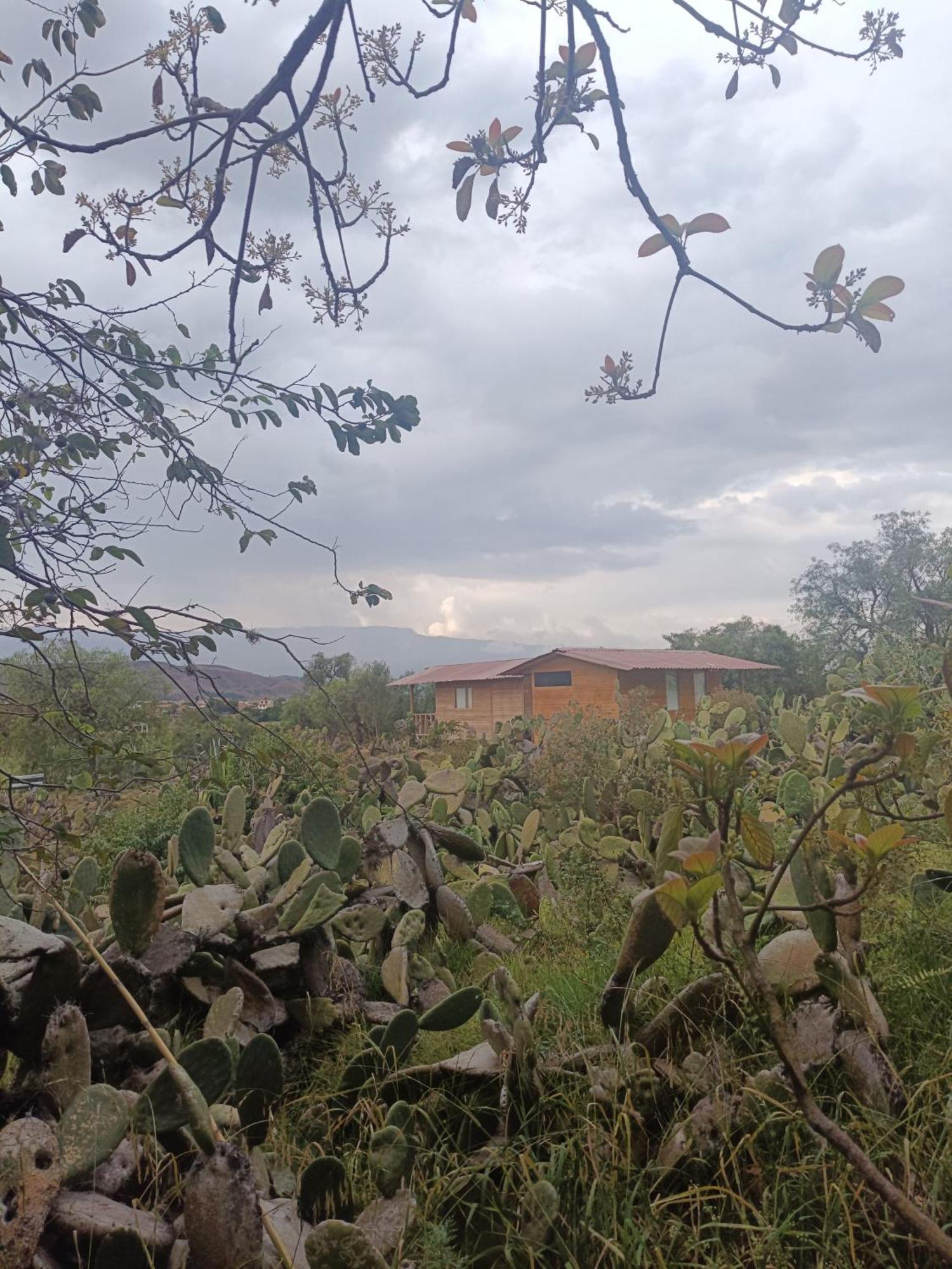 Glamping Entre Nopales, De Leyva